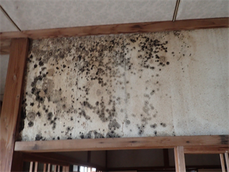 室内への雨漏りとカビ