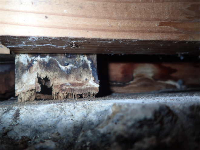 雨漏り発見と下地の腐食
