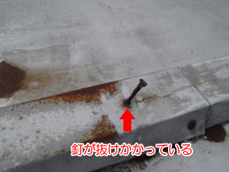 瓦棒の釘が抜けている
