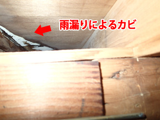 天袋に発生した雨漏りによるカビ