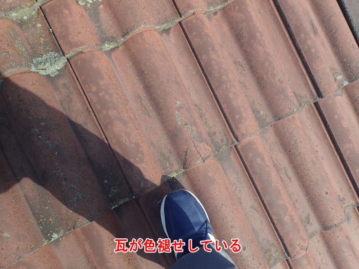 瓦の色褪せ