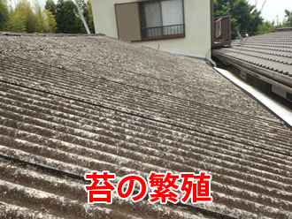 苔が繫殖した波板スレート屋根