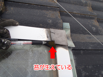 天窓の枠に苔が生えている