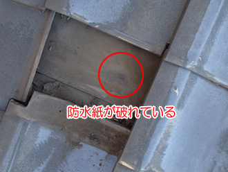 川崎市幸区南加瀬で下屋の防水紙劣化からの雨漏りを屋根葺き直し工事で改善