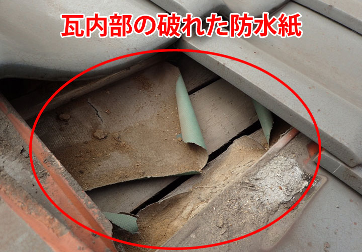 瓦内部の破れた防水紙
