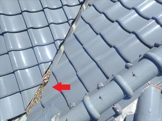 谷板金の落ち葉