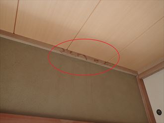 天井縁での雨漏り