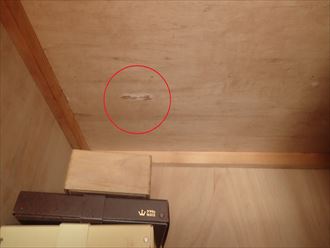 真上からの雨漏り