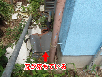 瓦が庭に落ちている