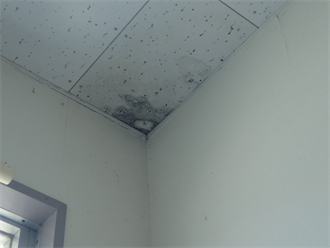 工場での雨漏り