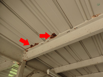 横浜市泉区和泉町で雨漏りが発生した倉庫の調査で、原因は腐食による穴あきでした