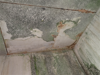 室内天井に発生したカビ