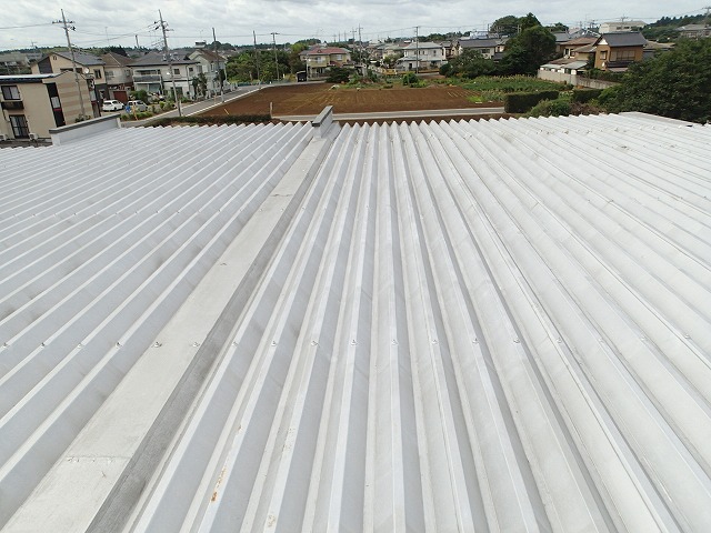 吹田市青葉岳南で穴の空いた波板をガルバリウム鋼板に葺き替え