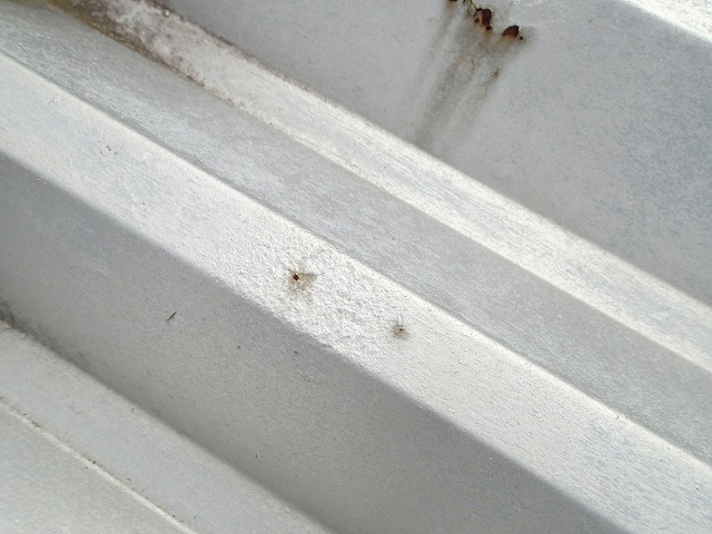 穴の空いた波板