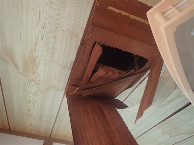 横浜市神奈川区菅田町にて雨漏り発生による雨樋・屋根の無料点検