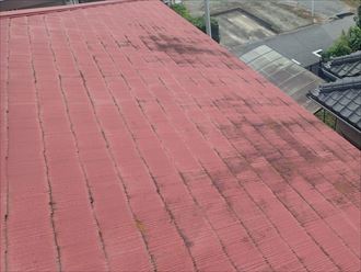 屋根材に付着している汚れ