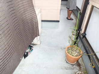 ベランダの様子