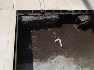 床板の下に雨水が溜まっている