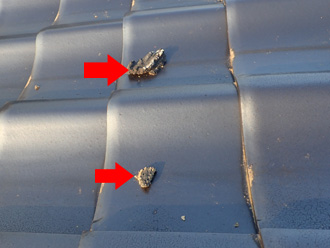 剥がれた漆喰が屋根に転がっている