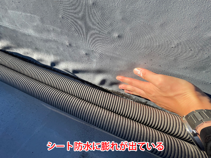 シート防水の膨れ