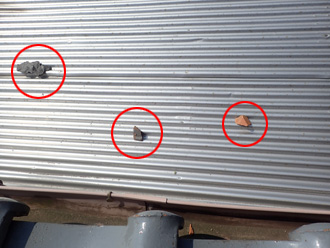 瓦の破片が下屋の波板に残っている