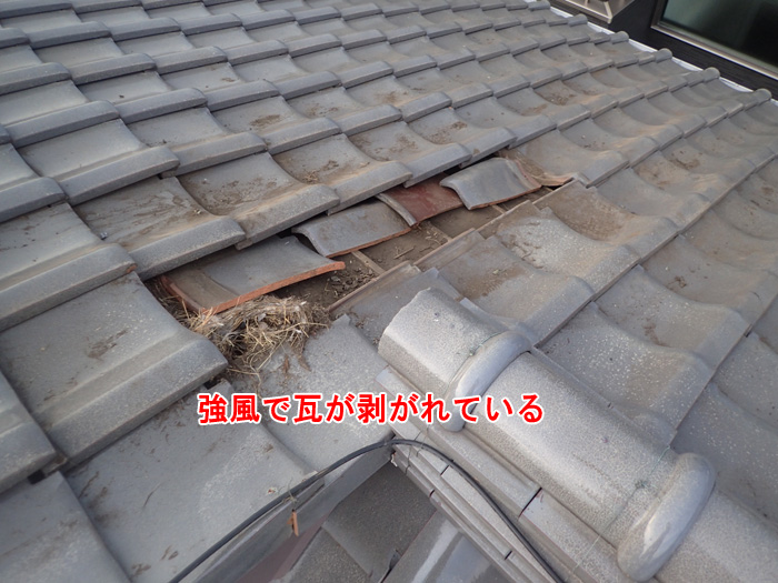 強風被害で瓦が飛んだ！火災保険で修理できる？雨漏りを防ぐ応急処置と申請のポイントを解説