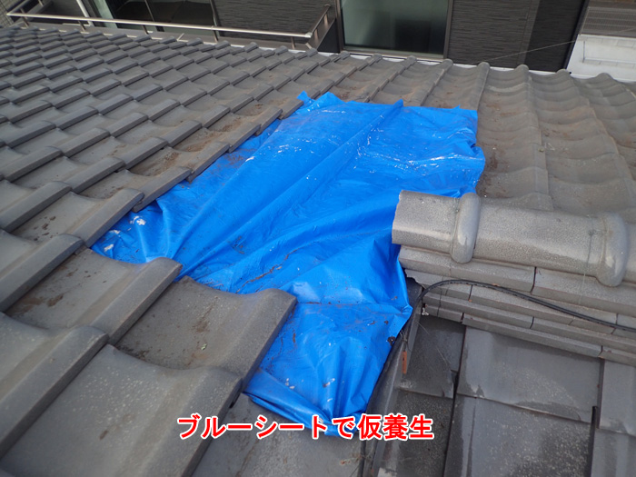 ブルーシートで応急処置された屋根
