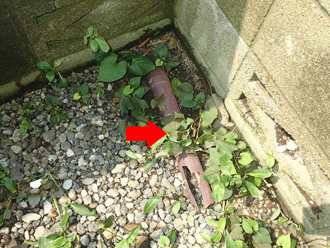 外れてしまった雨樋