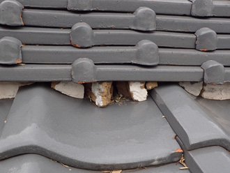 西多摩郡瑞穂町箱根ケ崎で台風被害から瓦のズレや軒天の破損による雨漏り