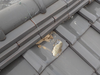 他の棟では漆喰が剥がれている