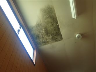 天井から雨漏り