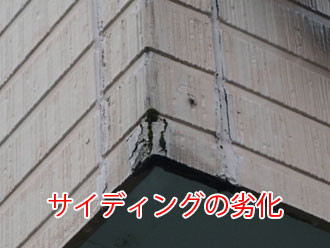 二宮町山西で、雨漏り解消のためベランダのサイディングと笠木の調査の様子をFRP防水やチョーキングに触れながら解説