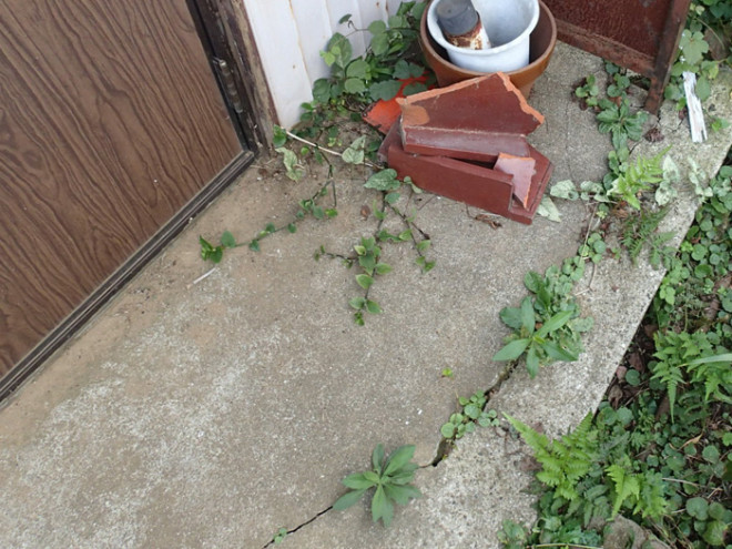 台風で瓦が庭に落下