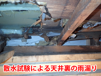 天井裏で確認した雨漏り