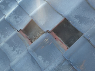 瓦が外れている