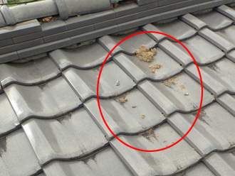 棟瓦の土が出てきている