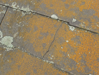 苔やカビが生え、クラックも発生している