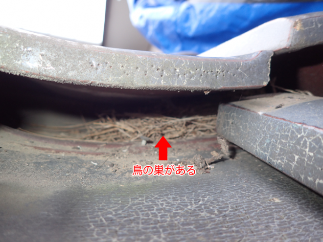 横浜市南区東蒔田町で瓦の下に鳥の巣が作られての雨漏り