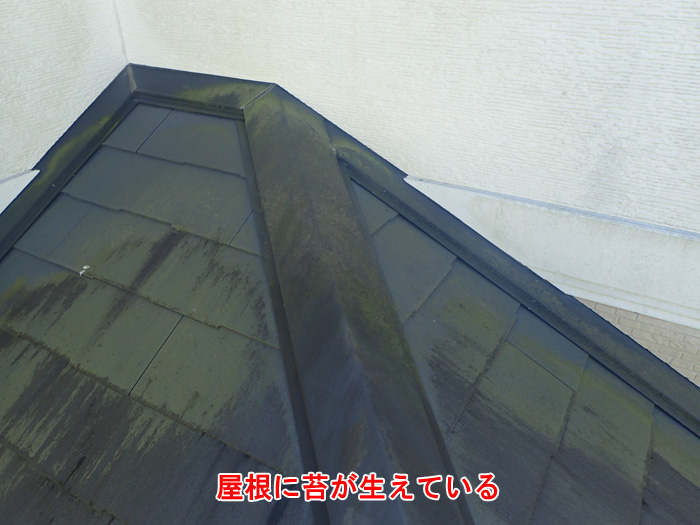 木更津市で雨漏りの前兆!? 苔・チョーキング・ひび割れのサインとは