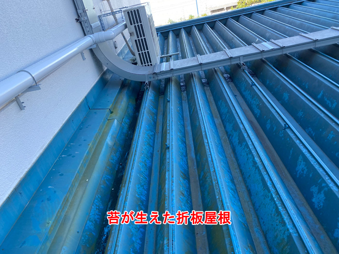 木更津市文京で発生した折板屋根の雨漏り事例と対策