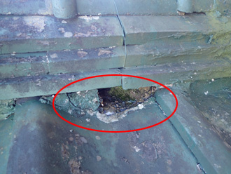 棟瓦の漆喰が剥がれている