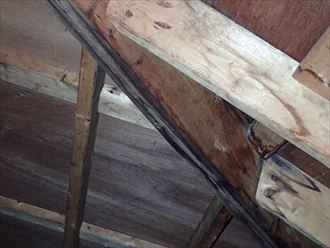 雨によって変色した小屋裏の一部