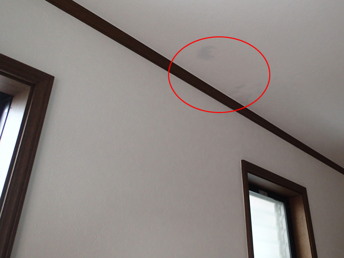 天井の雨染み