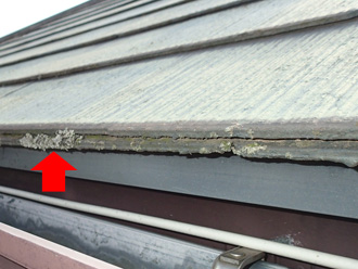 スレートの軒先に苔が生えている