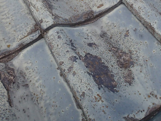 瓦の表面に汚れが目立つ