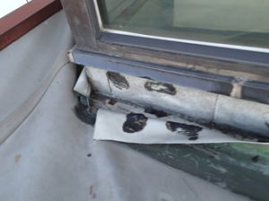 シート防水の捲れ