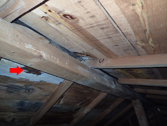小屋裏の雨漏り跡