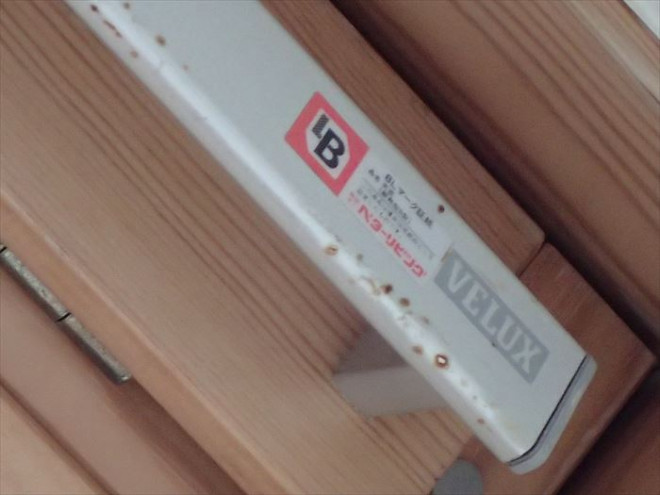 ベルックスの天窓