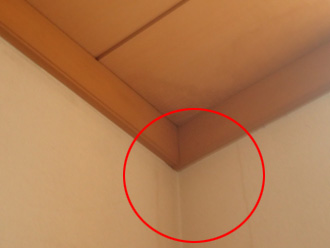 天井からの雨漏り