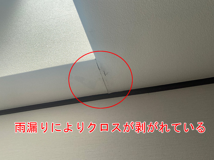 天窓から雨漏りしている